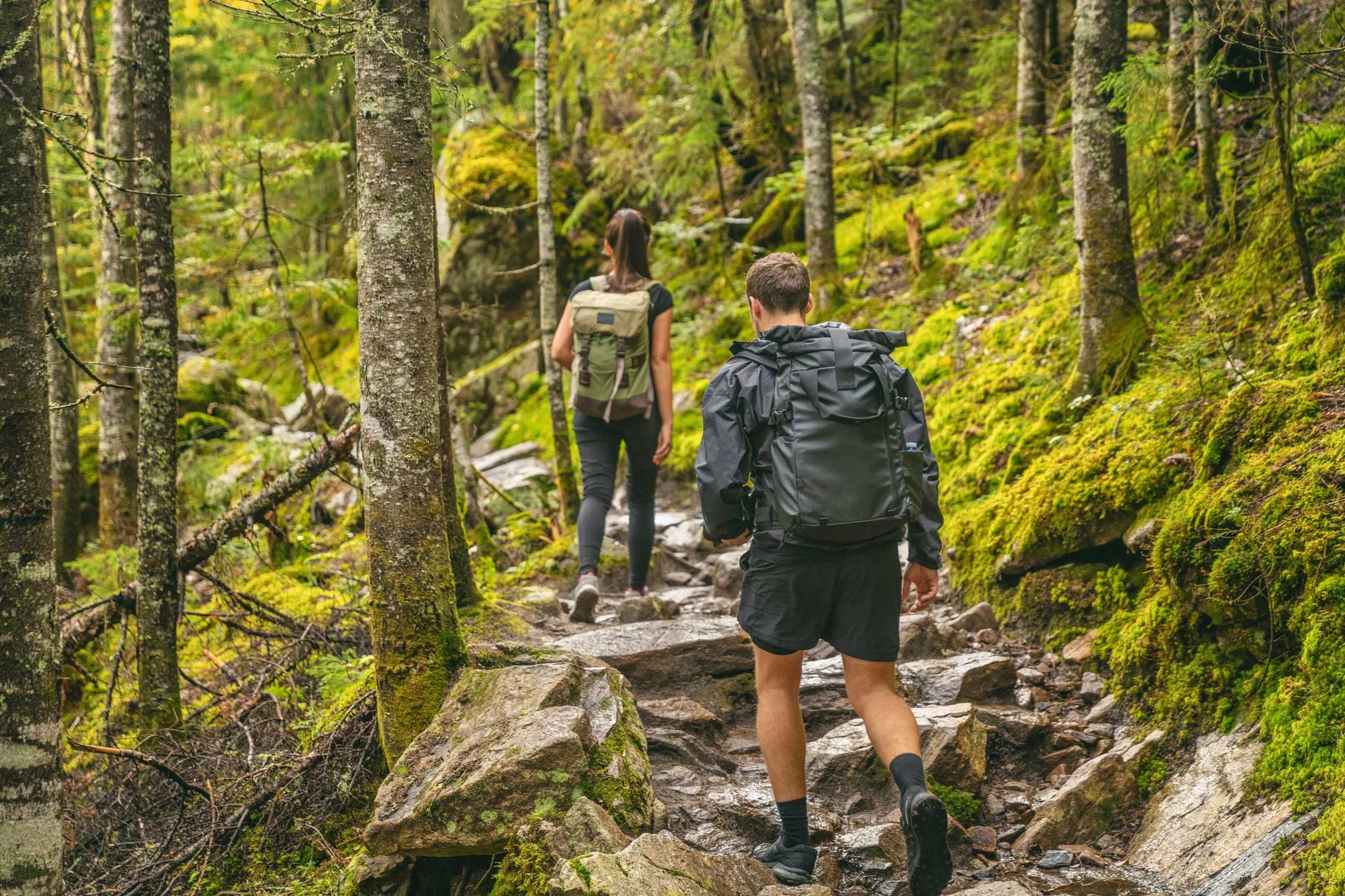 Zwei Wanderer auf einem Pfad durch den moosbewachsenen Wald