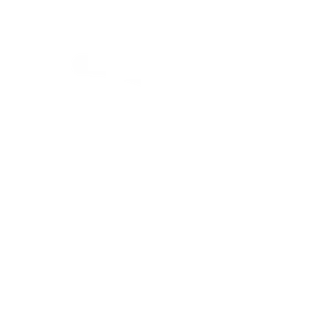 Hotel Biebertal-Ausstattung | WLAN